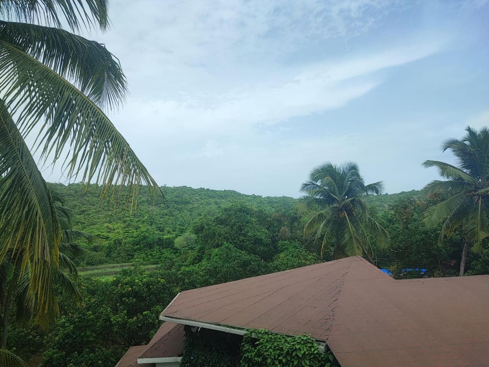 The Verda De Miranda Resort Morjim North Goa Zewnętrze zdjęcie