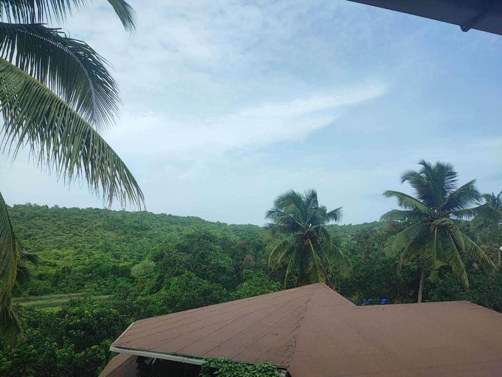 The Verda De Miranda Resort Morjim North Goa Zewnętrze zdjęcie